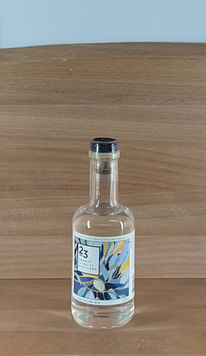 Seagrams London Dry Gin (Older bottling)